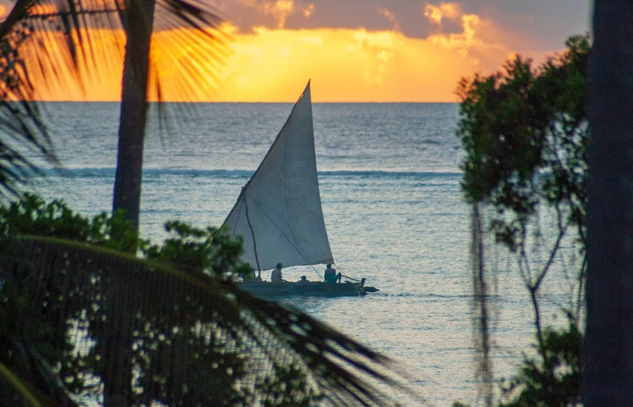 zanzibar malaria