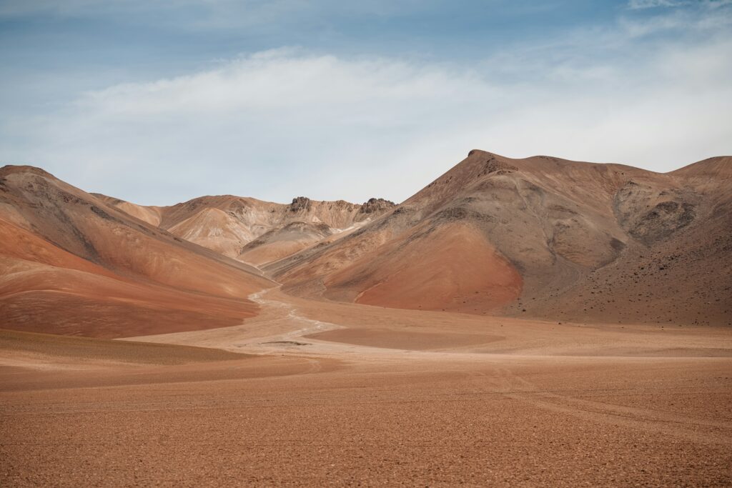 typhoid-bolivia