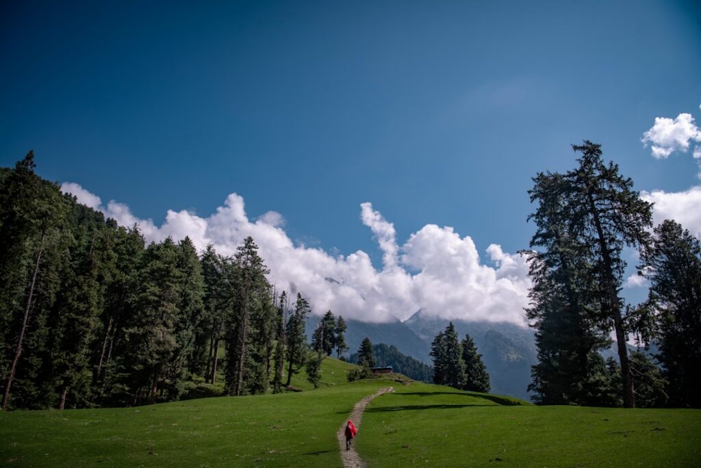 Scenic landscape in India for malaria travel article