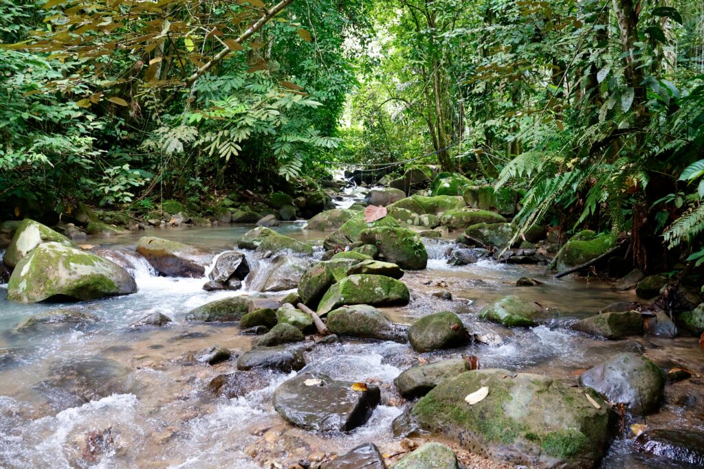 Malaysia forest stream landscape for malaria prevention planning