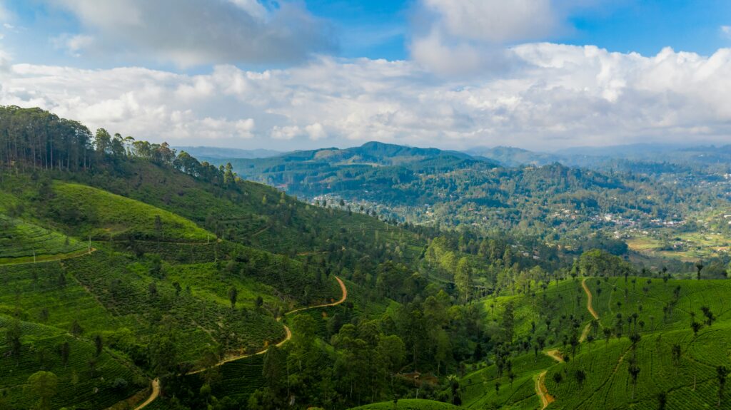 Sri Lanka tea highlands landscape for malaria prevention travel guidance