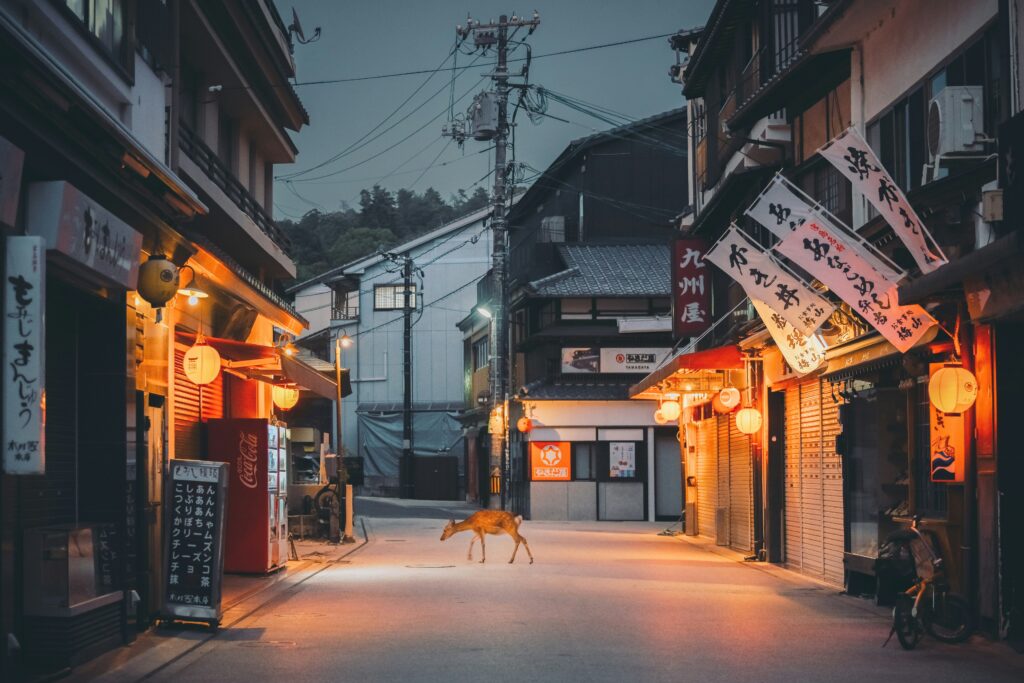 Street scene in Japan with travelers and city lights