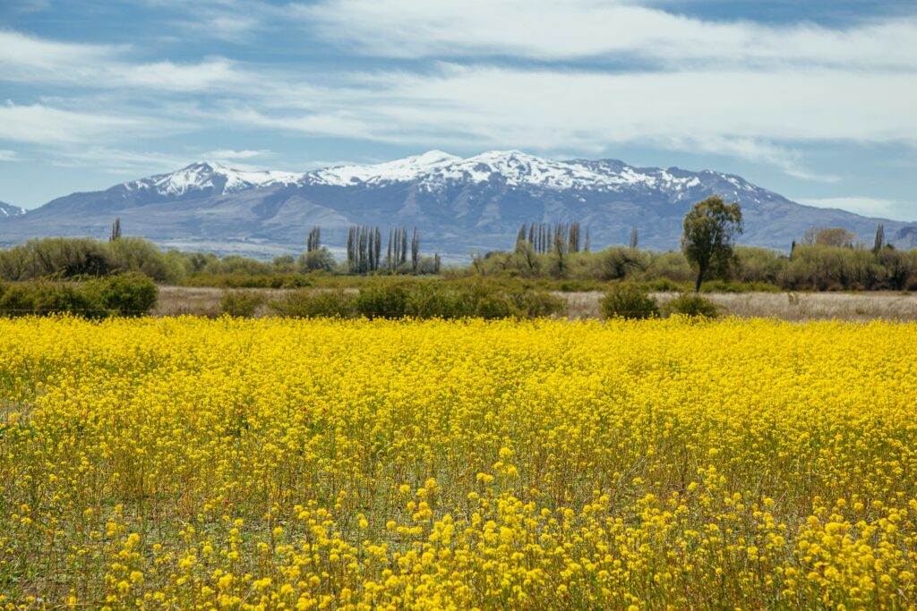 Landscape view in Argentina