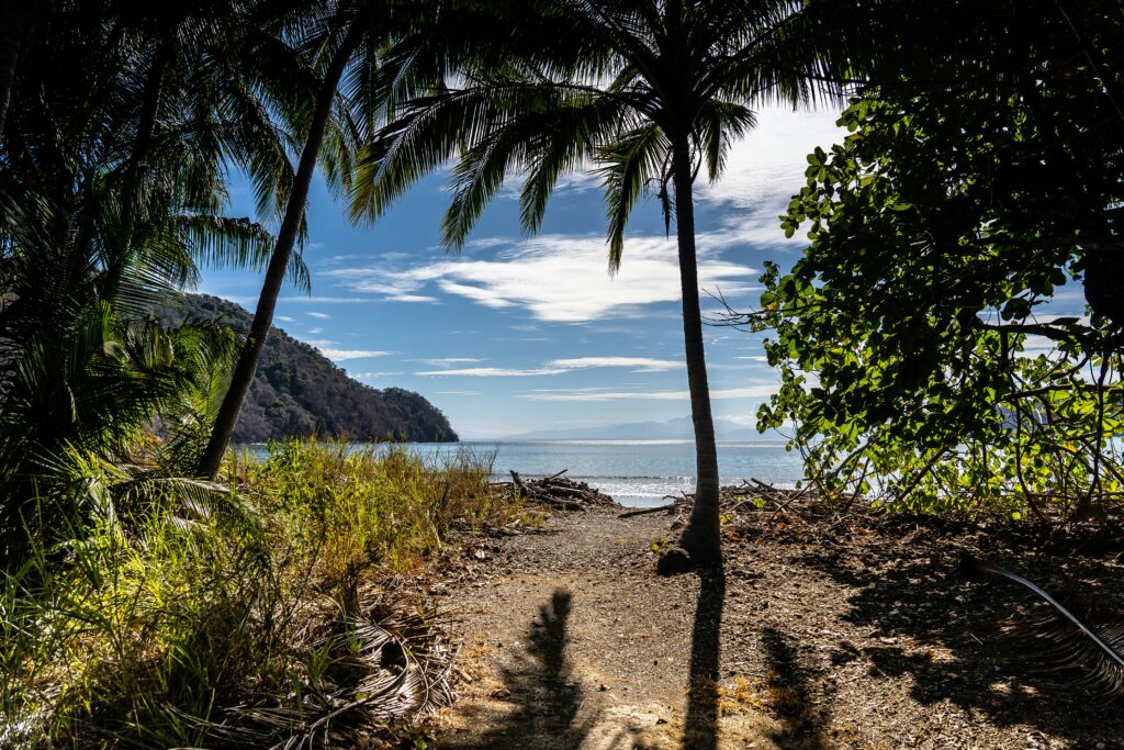 Coastline and forest landscape in Costa Rica