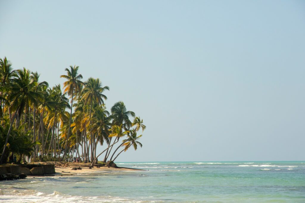 Beach view in the Dominican Republic