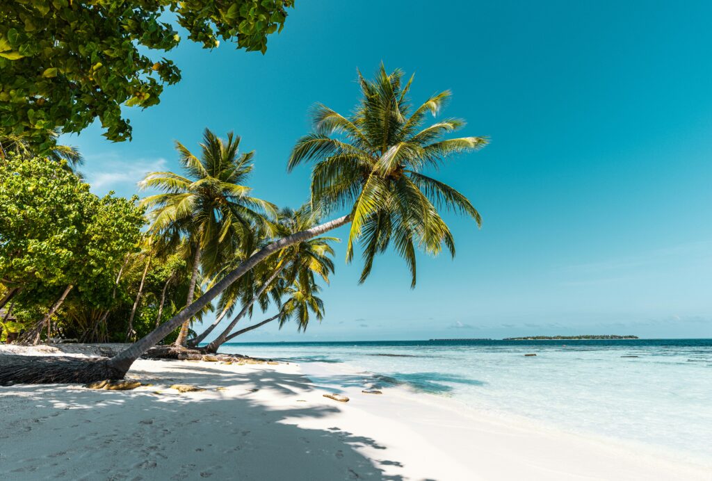 Tropical coastal scene used for Mozambique travel health article