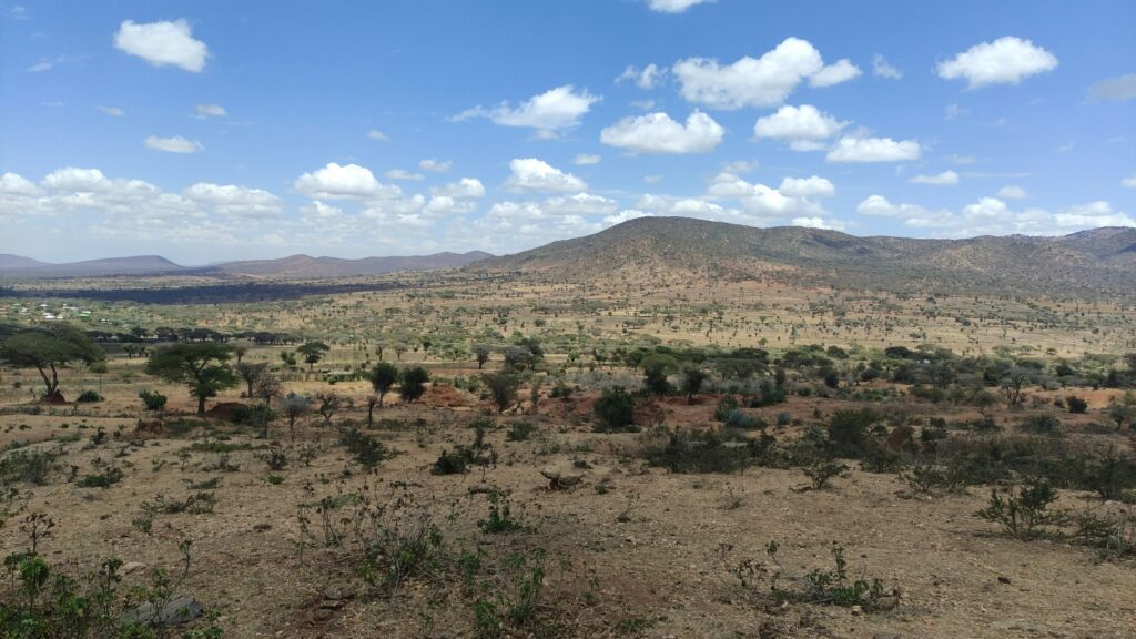 Open savanna landscape in Tanzania