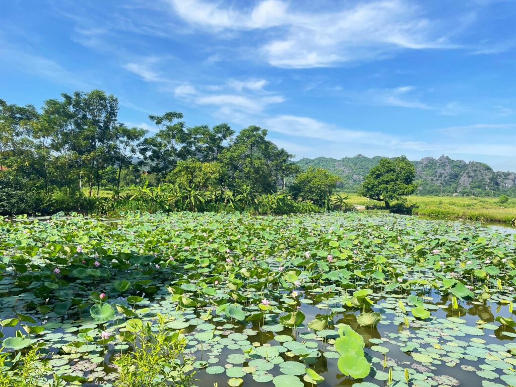 Vietnam countryside landscape for Vietnam travel medications guide