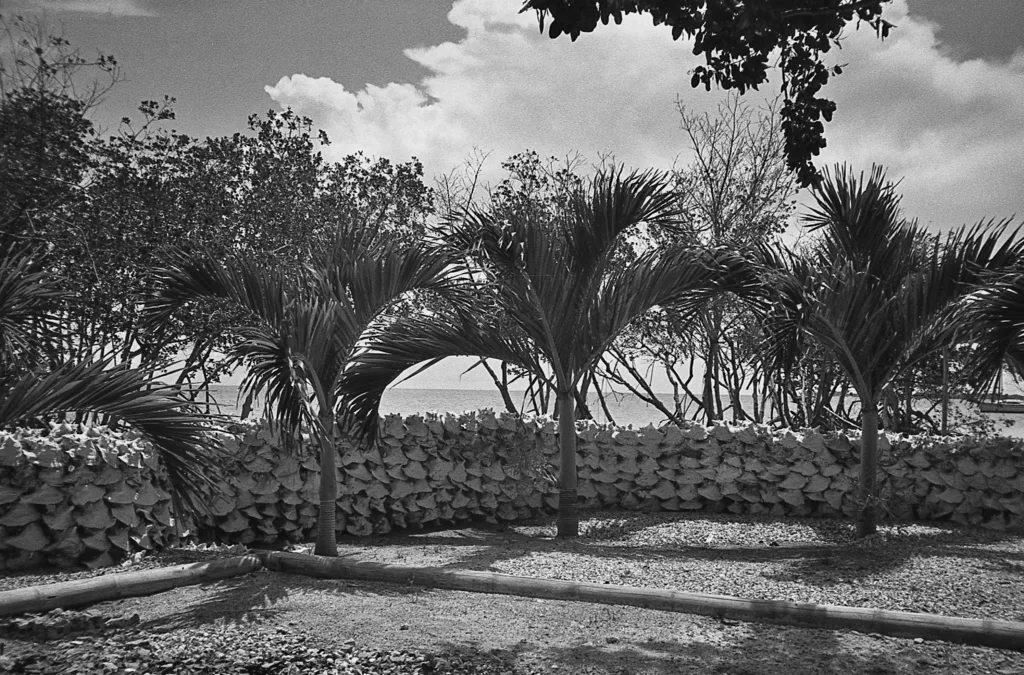 Belize Caribbean coast for yellow fever vaccine and travel health planning