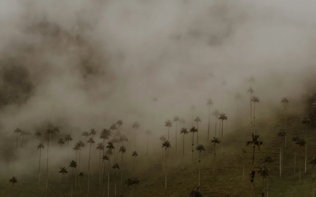 Colombia mountain landscape for yellow fever vaccine and travel health planning