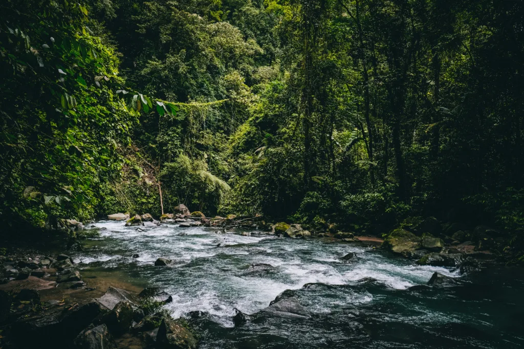 Costa Rica rainforest for yellow fever vaccine and travel health planning