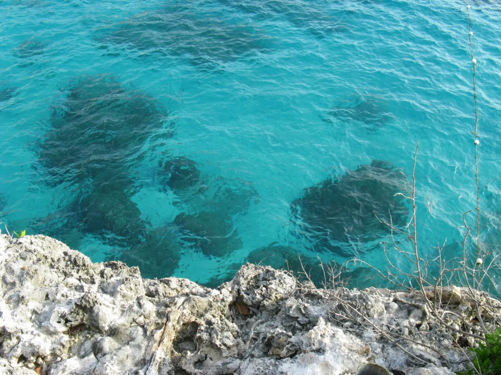 Jamaica beach coastline for travelers planning yellow fever and travel health