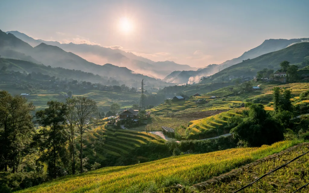 Vietnam rice terraces for yellow fever vaccine and travel health planning